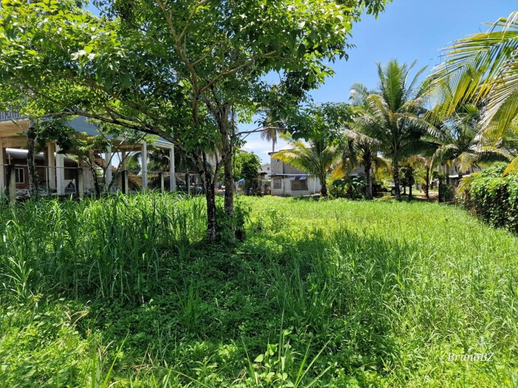 listing image with ID 67500