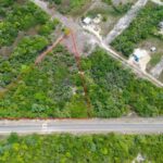 listing image thumbnail with ID 66233