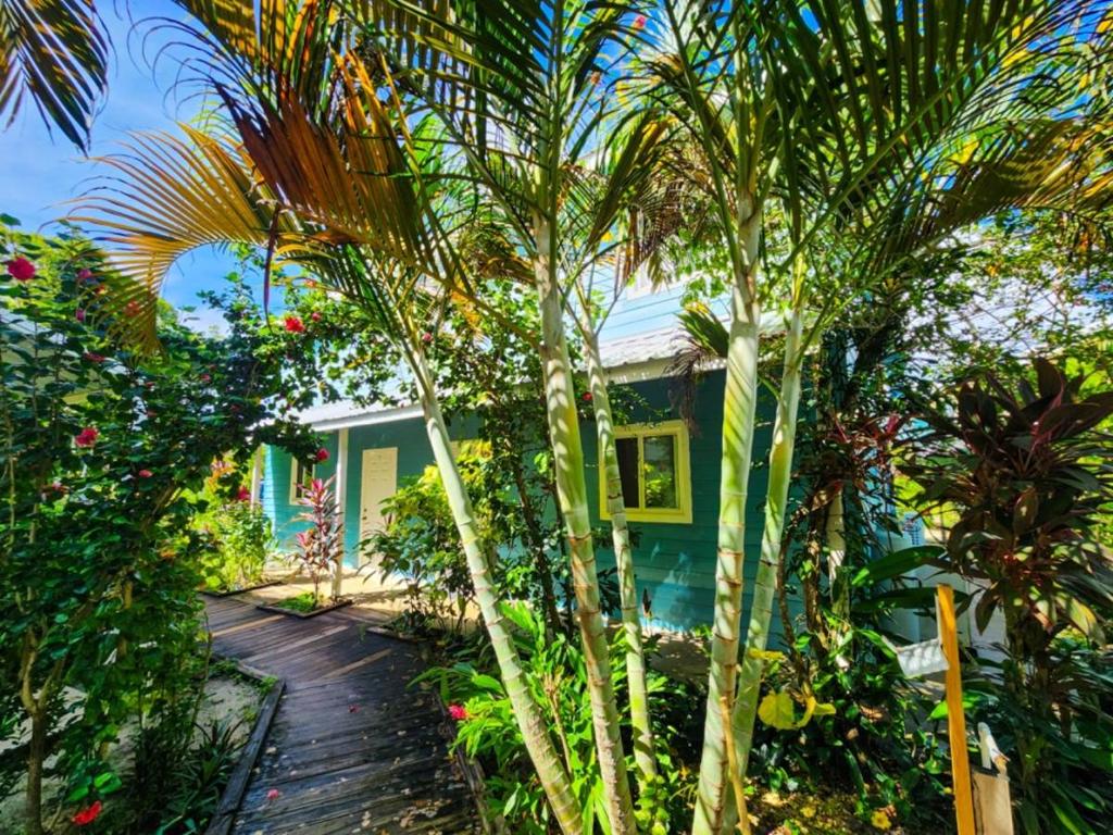 listing image with ID 66388