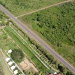 listing image thumbnail with ID 64993