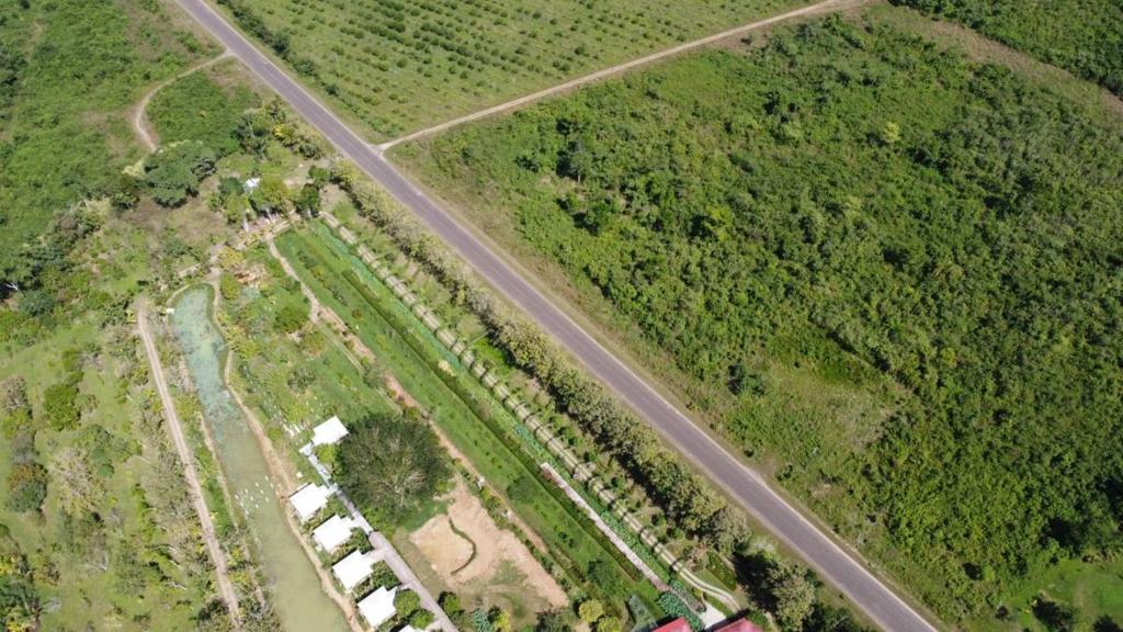 listing image with ID 64993