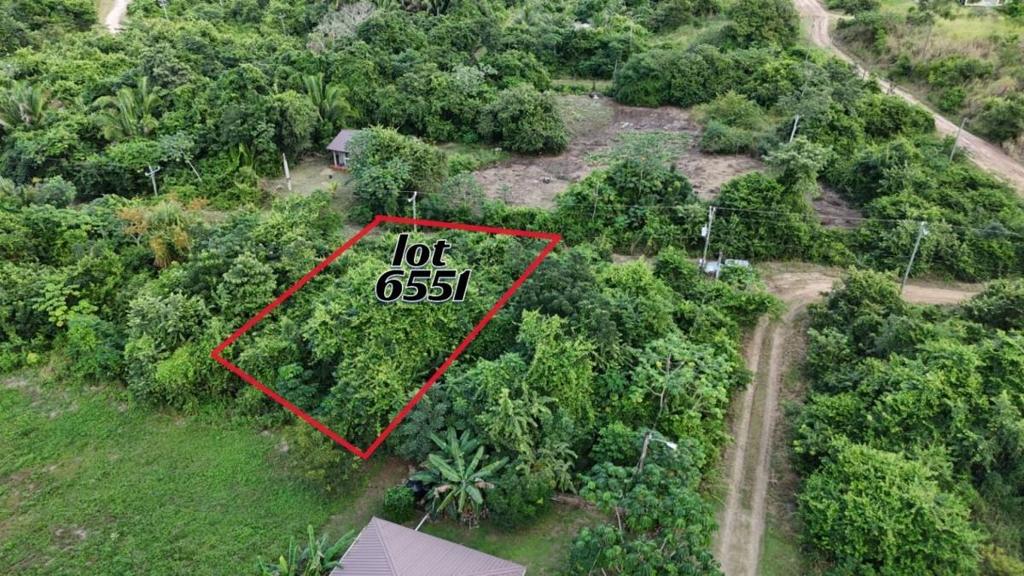 listing image with ID 68210