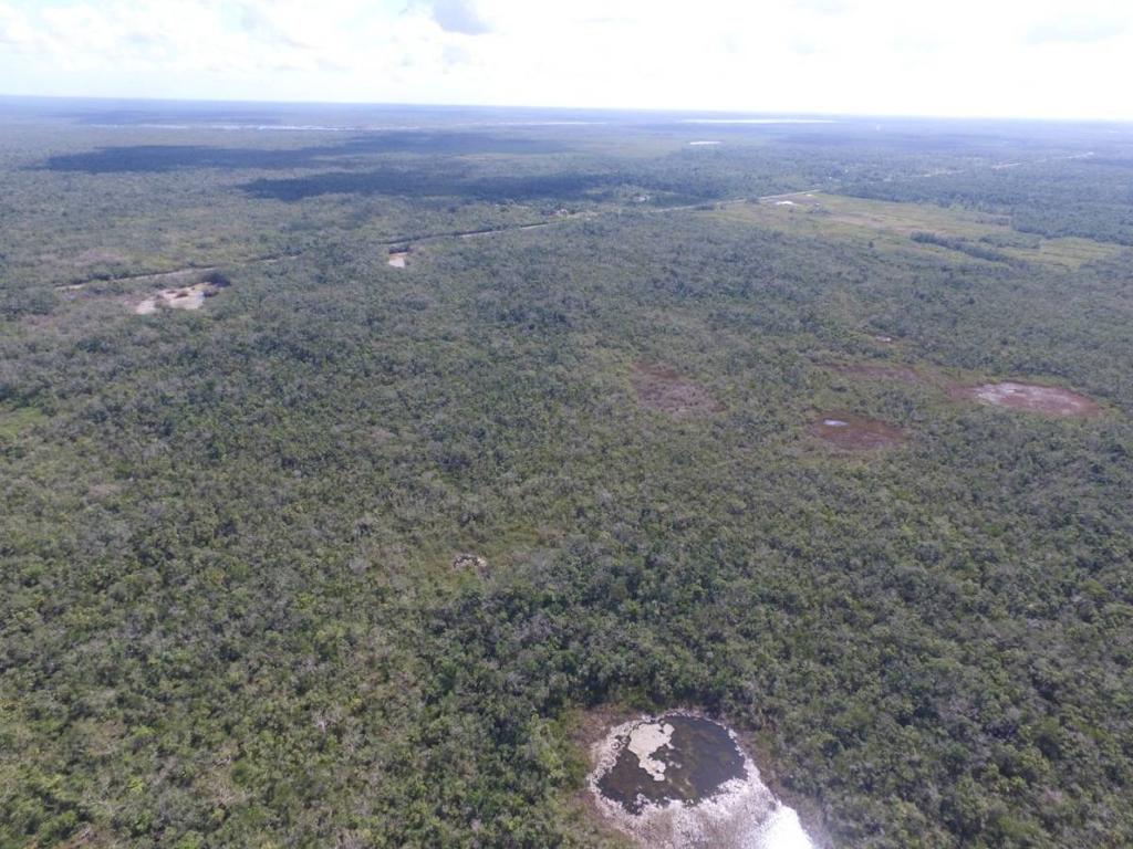 listing image with ID 64636