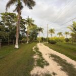 listing image thumbnail with ID 65601