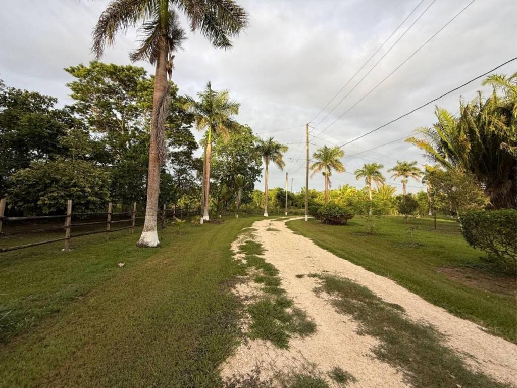 listing image with ID 65601