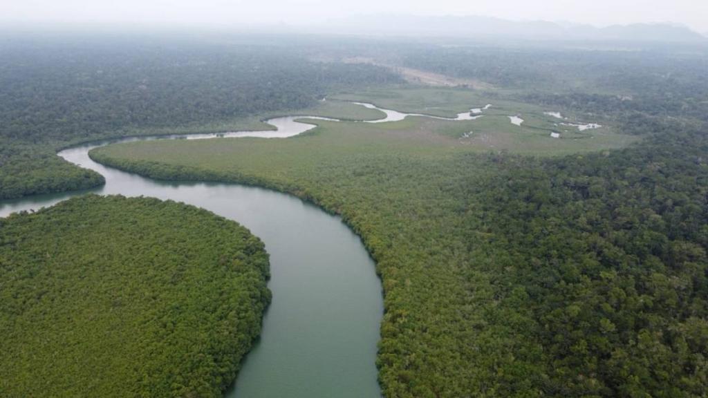 listing image with ID 67841