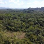 listing image thumbnail with ID 64242