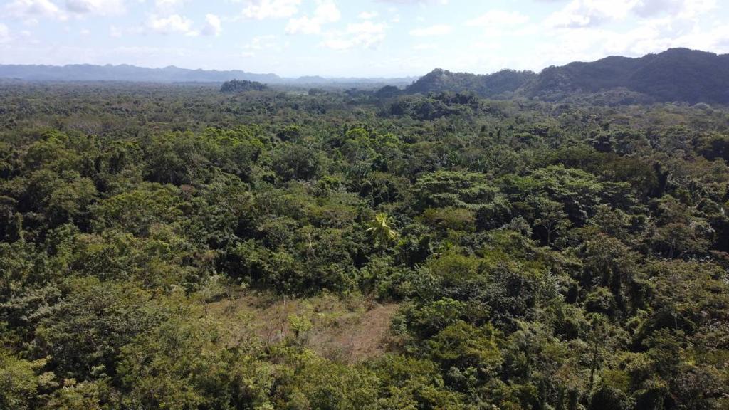 listing image with ID 64242