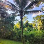 listing image thumbnail with ID 65538