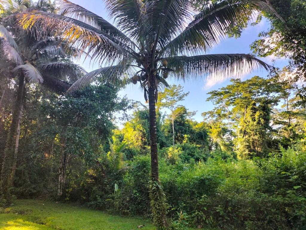 listing image with ID 65538