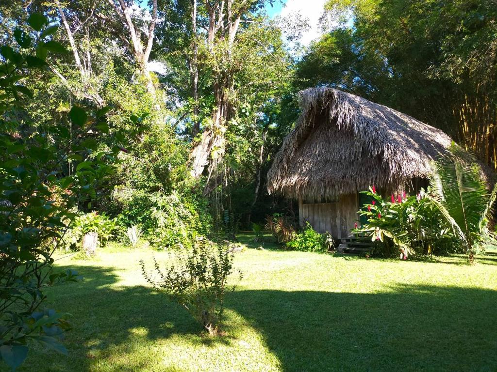 listing image with ID 65528