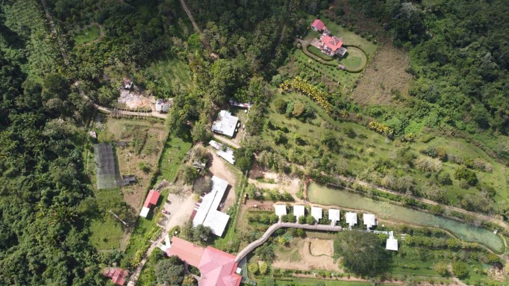 listing image with ID 64978