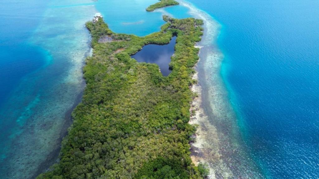 listing image with ID 65859