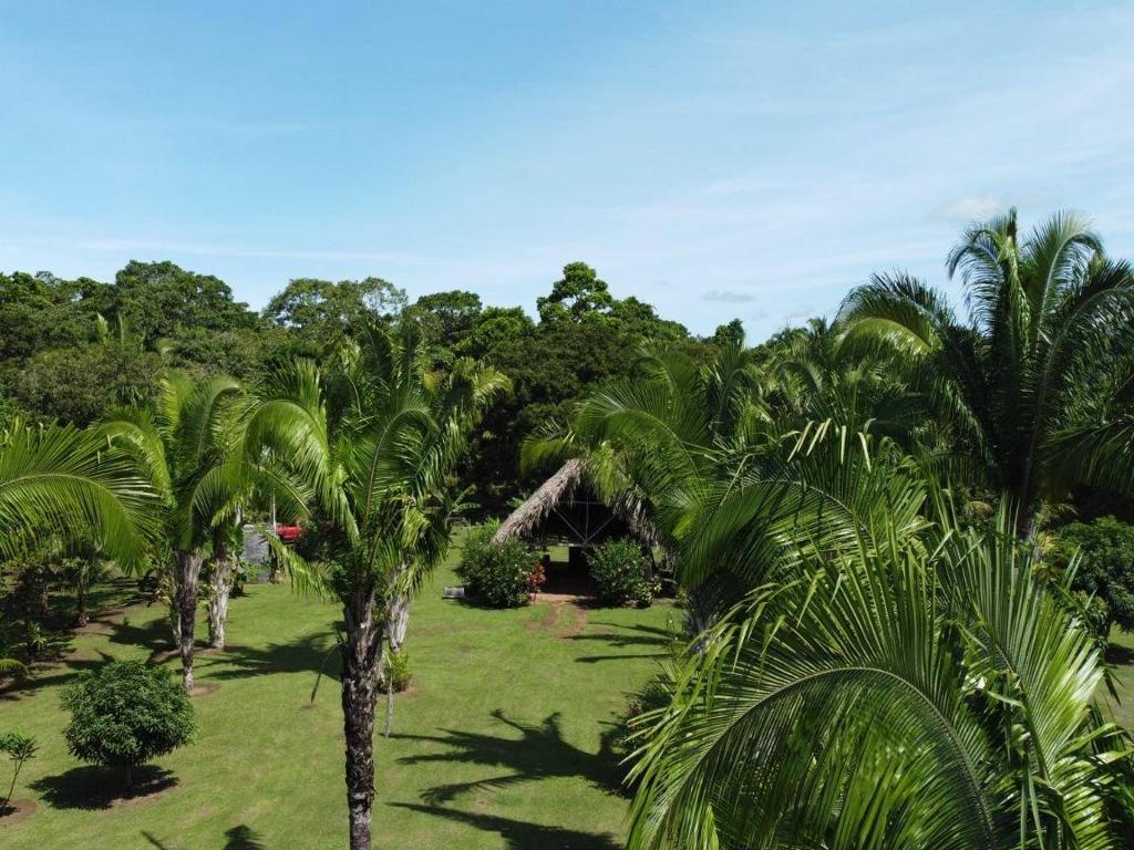 listing image with ID 67782