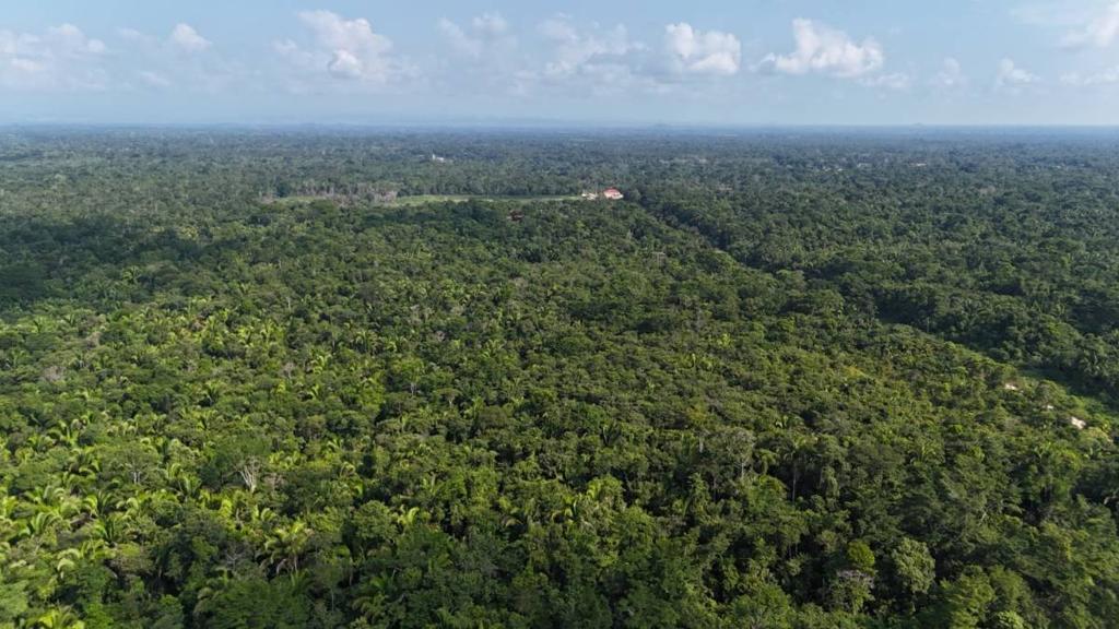 listing image with ID 68063