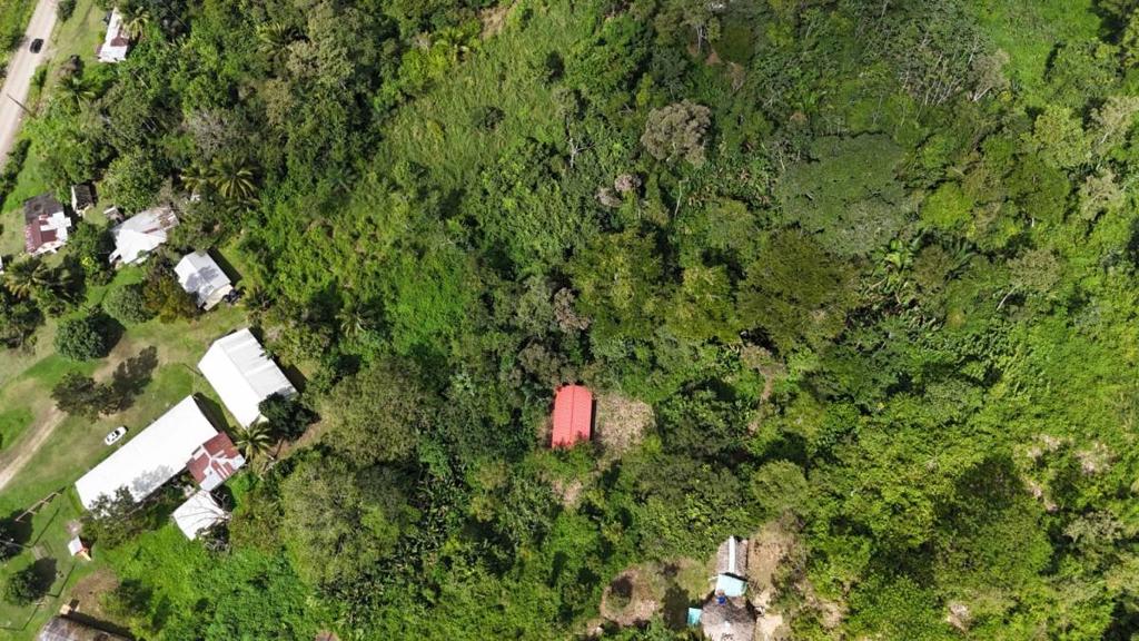 listing image with ID 66146