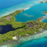 listing image thumbnail with ID 65852