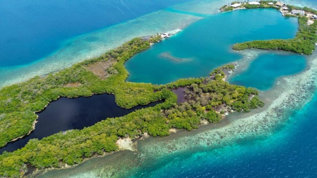 listing image with ID 65852