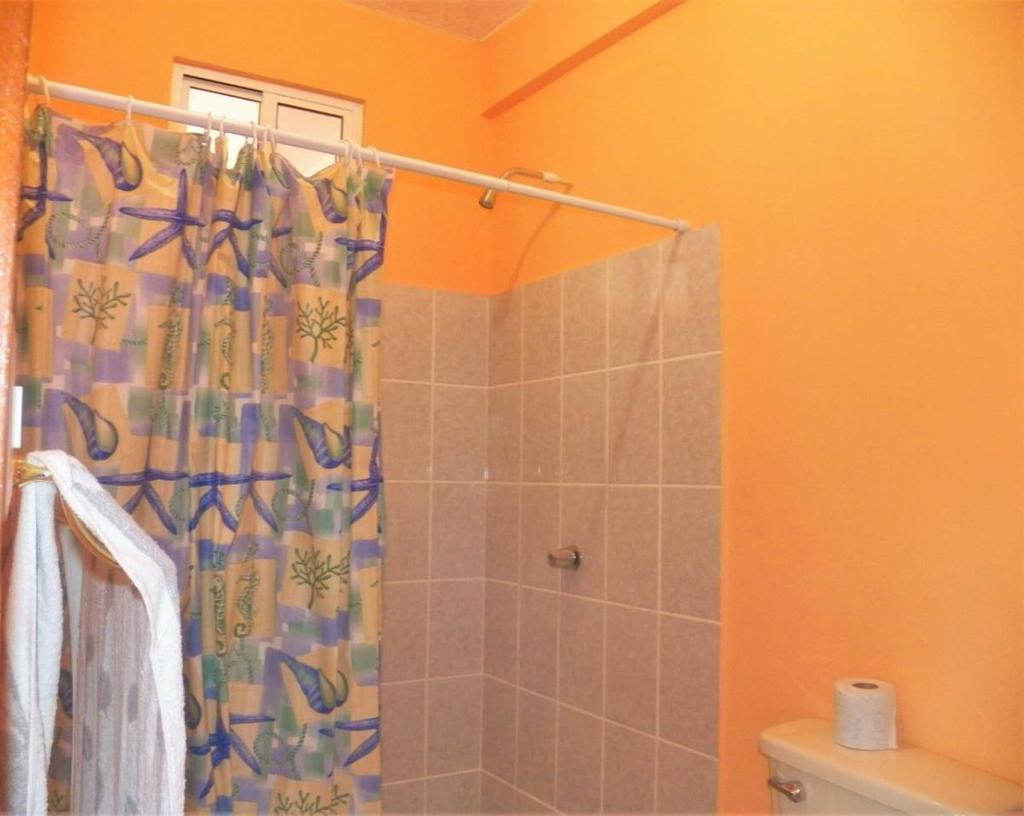 listing image with ID 65687