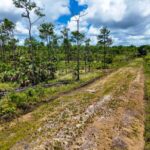 listing image thumbnail with ID 66088