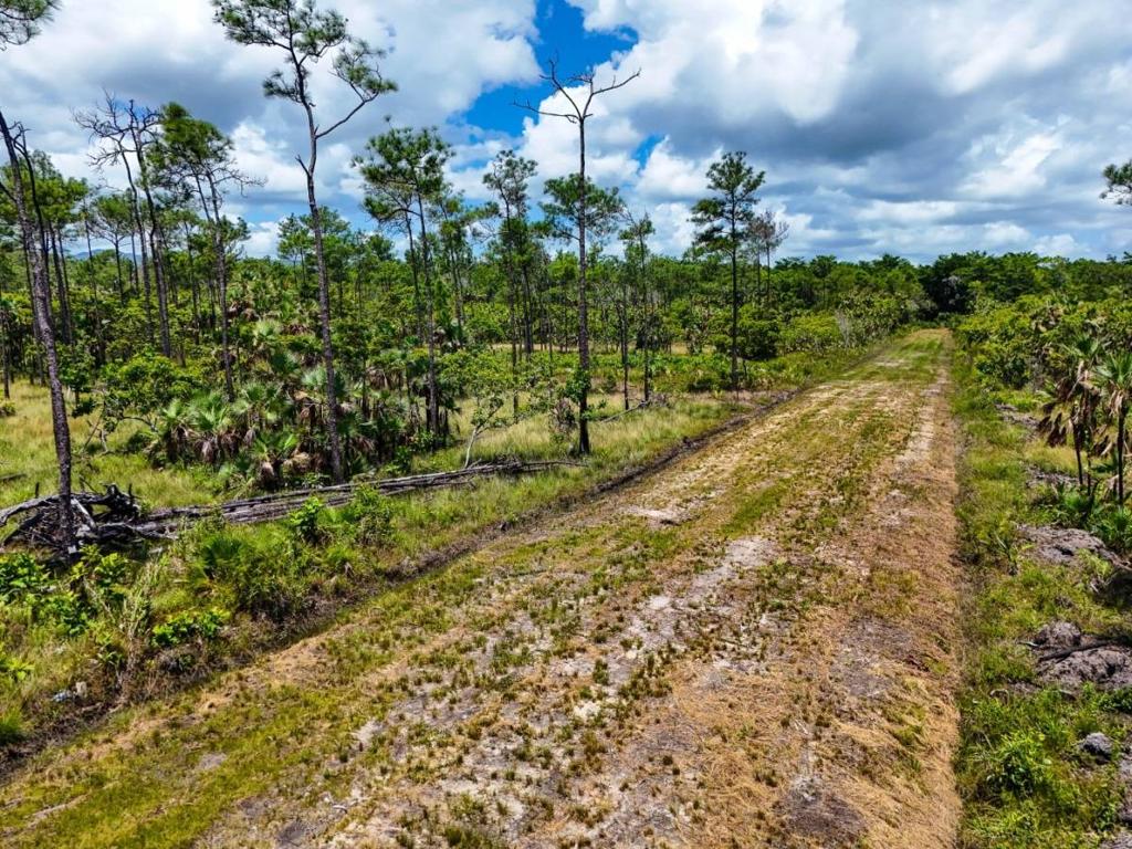 listing image with ID 66088