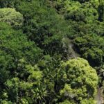 listing image thumbnail with ID 65236