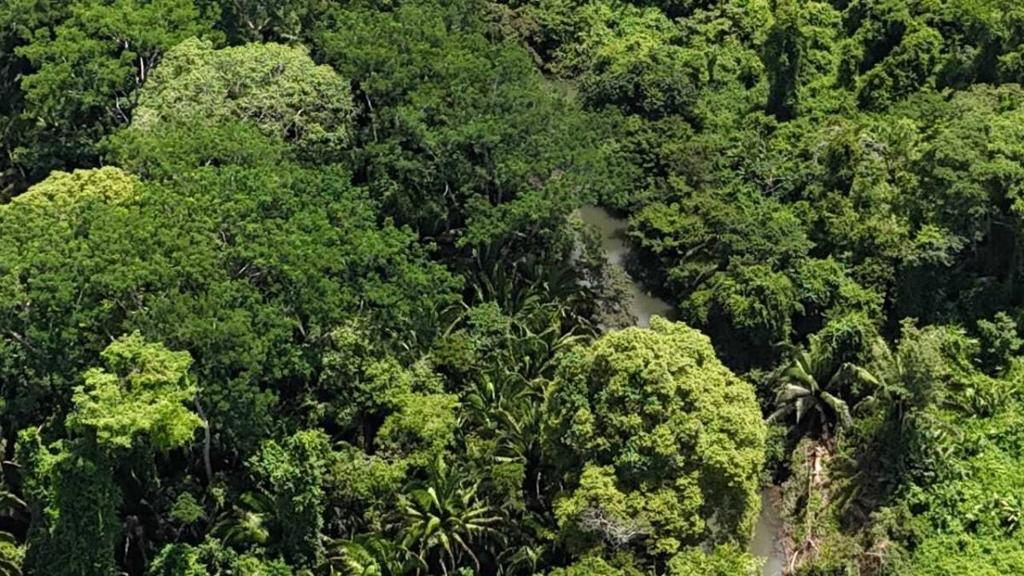 listing image with ID 65236