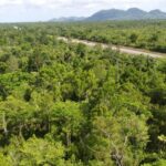 listing image thumbnail with ID 63943