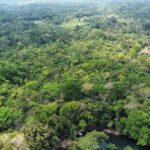 listing image thumbnail with ID 64881