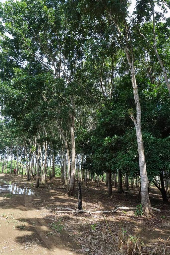 listing image with ID 67660