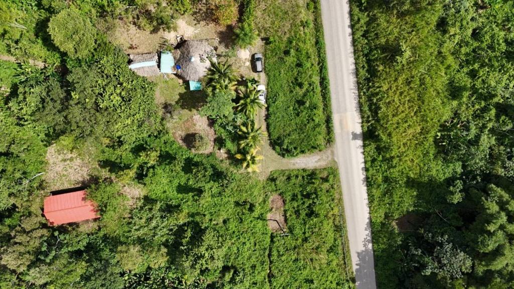 listing image with ID 66141