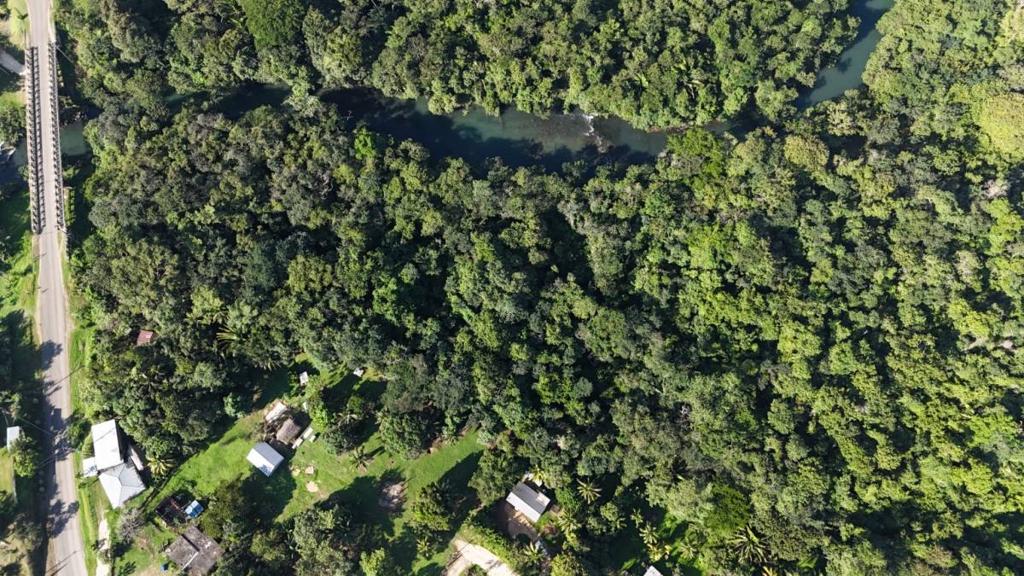 listing image with ID 64584