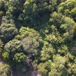 listing image thumbnail with ID 66108