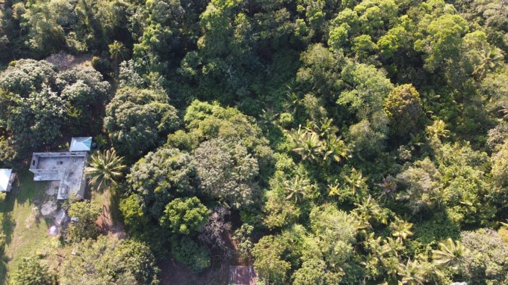 listing image with ID 66108