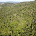 listing image thumbnail with ID 67765