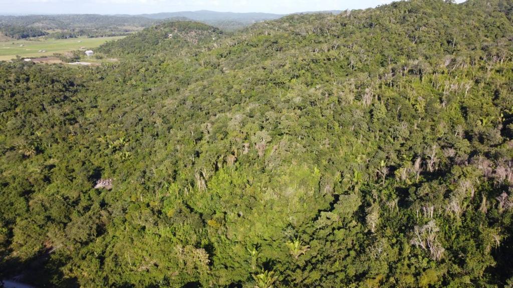 listing image with ID 67765