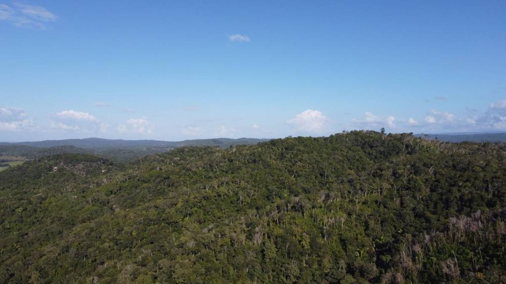 listing image with ID 67753