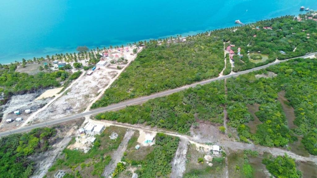 listing image with ID 67333