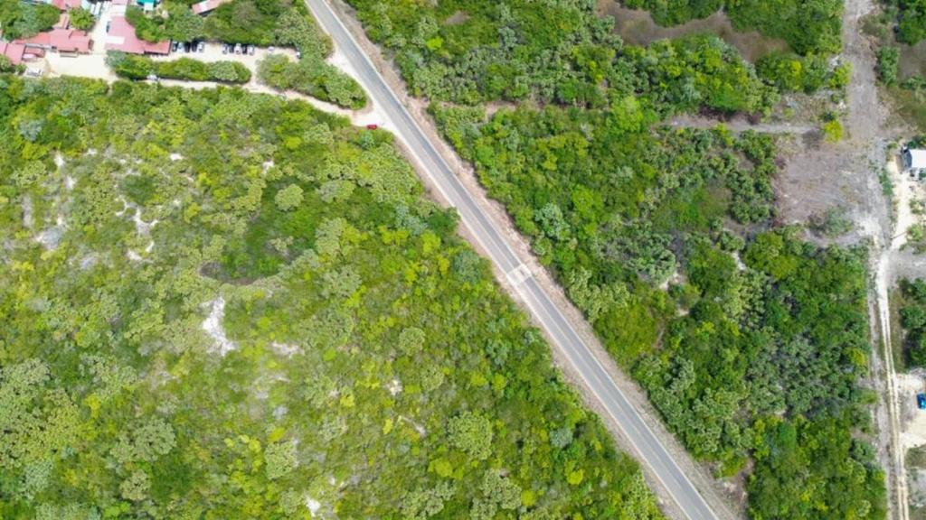 listing image with ID 66245