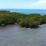 listing image thumbnail with ID 65391