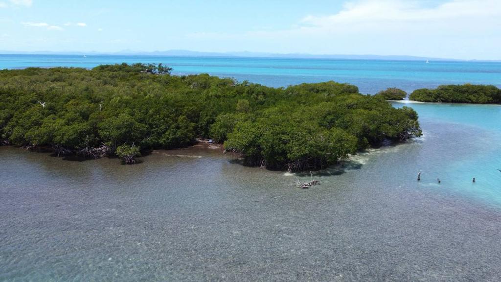 listing image with ID 65391