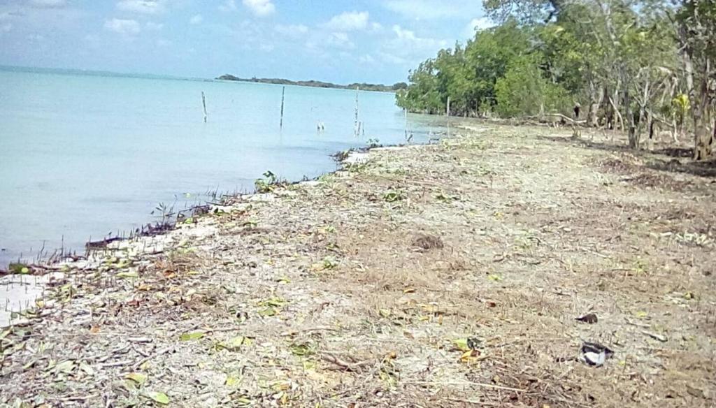 listing image with ID 68203