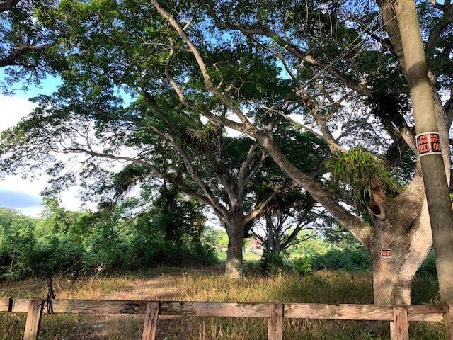 listing image with ID 65022