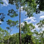 listing image thumbnail with ID 63950