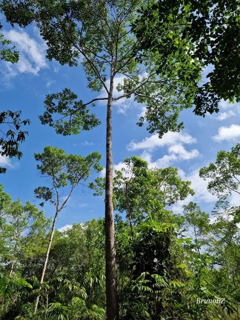 listing image with ID 63950