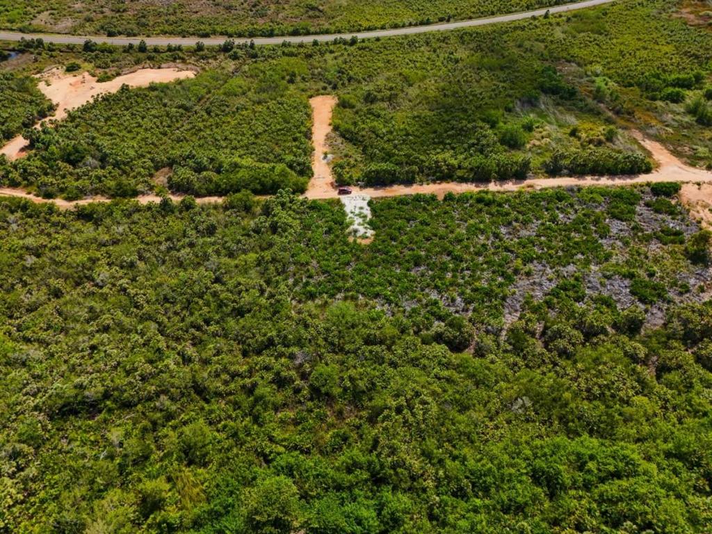 listing image with ID 68196