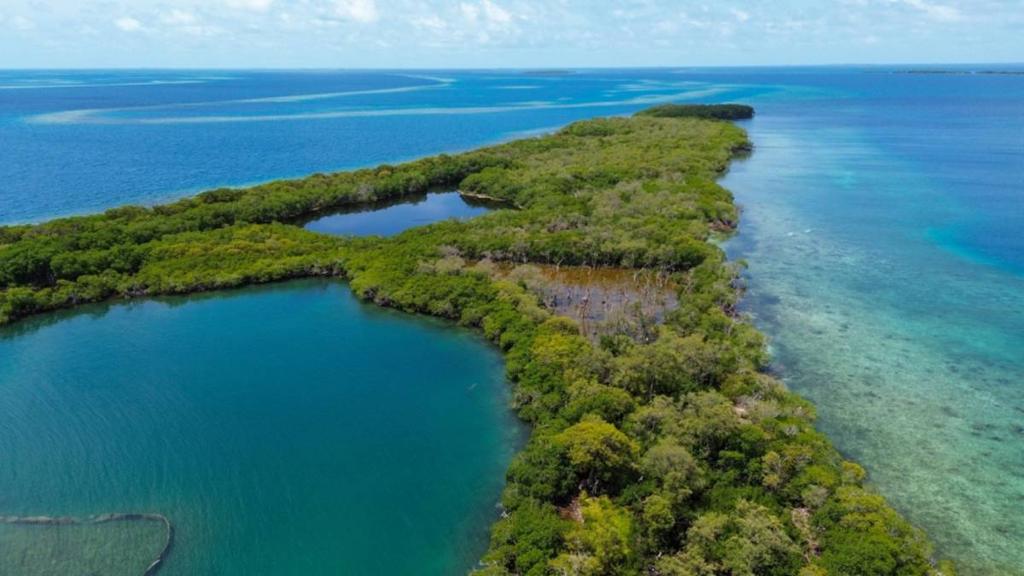 listing image with ID 66871