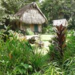 listing image thumbnail with ID 65518