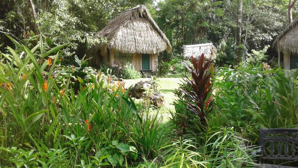 listing image with ID 65518