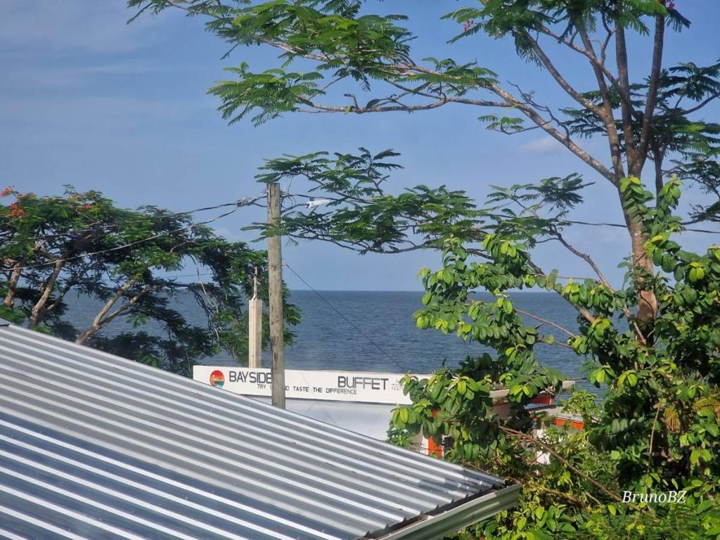 listing image with ID 64084